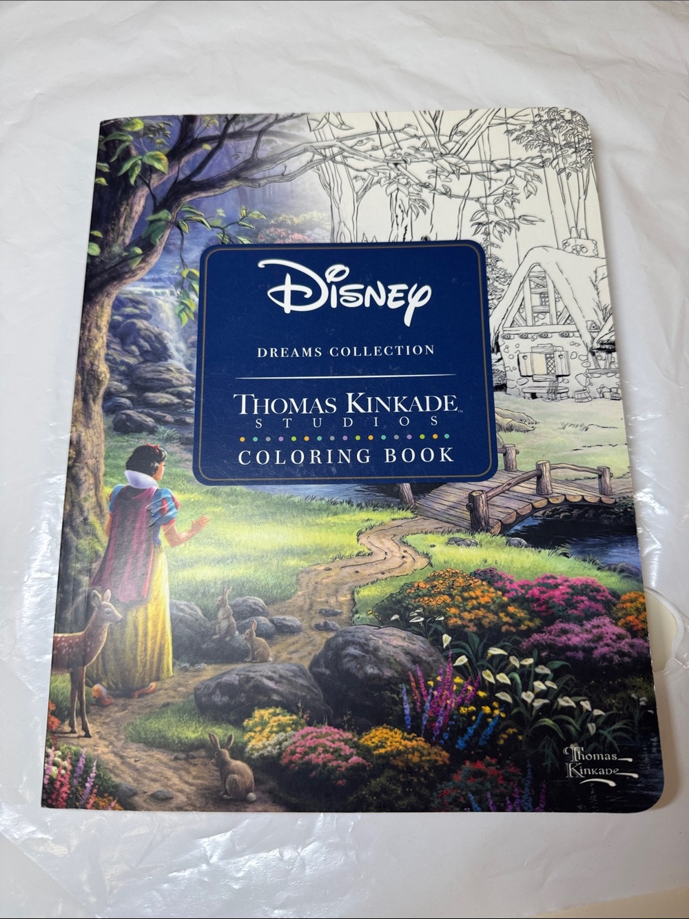 Disney Thomas Kinkade Studios Coloring Book - Blue, Green, Purple